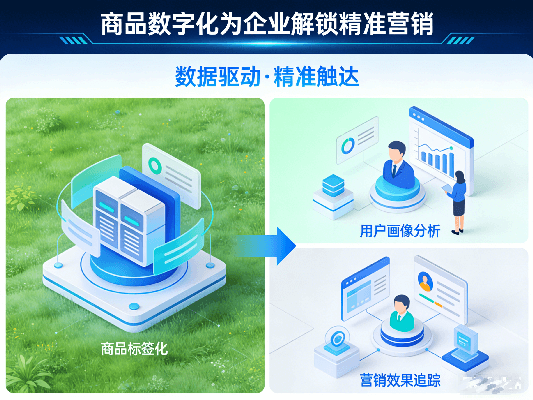 商品数字化营销 (1).png